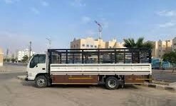 دينا نقل من القصيم الي القريات
